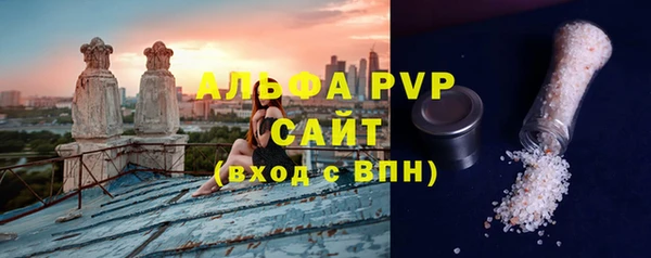 ГАЛЛЮЦИНОГЕННЫЕ ГРИБЫ Бородино