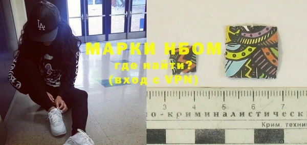 ГАЛЛЮЦИНОГЕННЫЕ ГРИБЫ Бородино