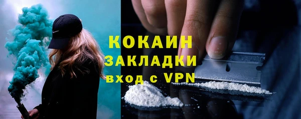 ГАЛЛЮЦИНОГЕННЫЕ ГРИБЫ Бородино