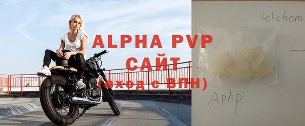 ГАЛЛЮЦИНОГЕННЫЕ ГРИБЫ Бородино