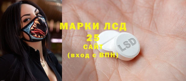 ГАЛЛЮЦИНОГЕННЫЕ ГРИБЫ Бородино