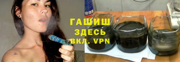 ГАЛЛЮЦИНОГЕННЫЕ ГРИБЫ Бородино
