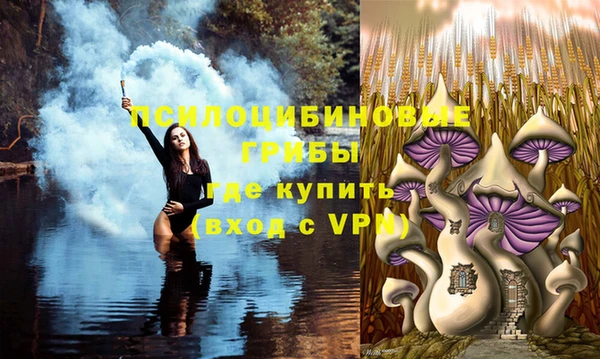 трава Бугульма