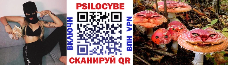 Псилоцибиновые грибы Psilocybe наркотики mega ссылки Балашиха